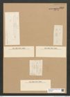 Diatomeae indet. Zeichnungen Sammlung Grunow Nr. 5816 (NHMW-BOT-W0374234)
